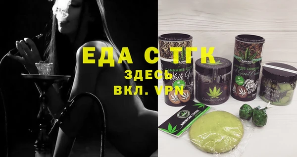 индика Осинники