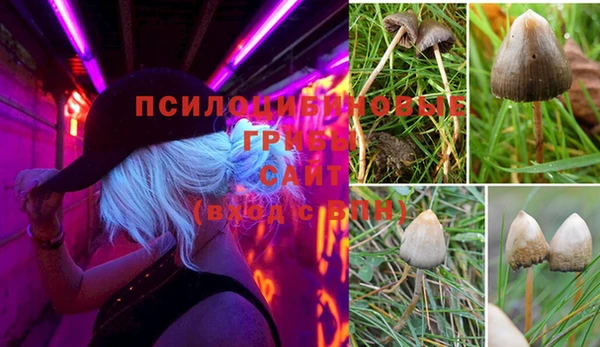МДПВ Алексин