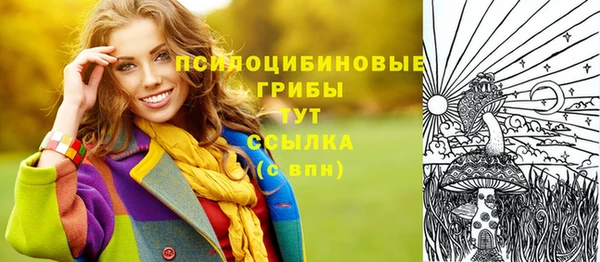 МДПВ Алексин