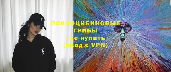 МДПВ Алексин