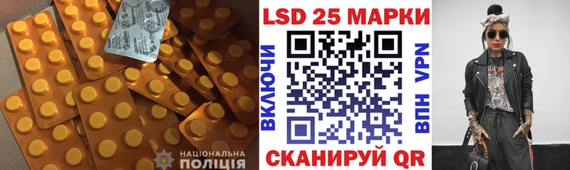 купить   Новая Ладога  Лсд 25 экстази кислота 