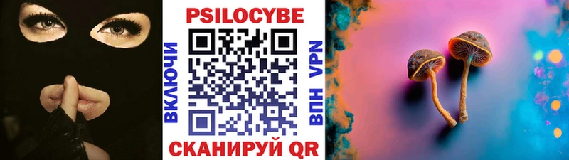 Галлюциногенные грибы Magic Shrooms  Новая Ладога 