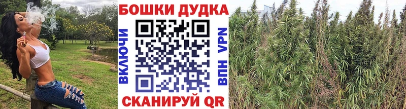 Каннабис конопля  Новая Ладога 